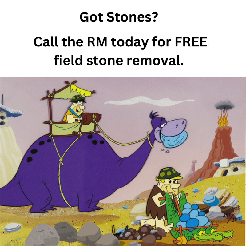 field_stones.png